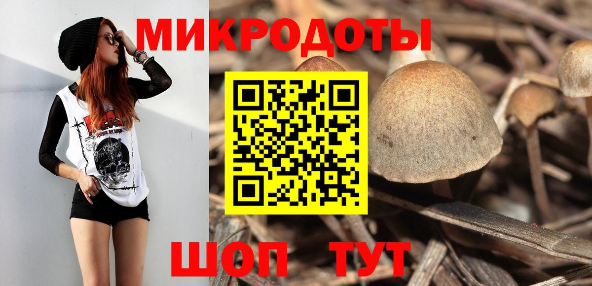 Псилоцибиновые грибы Psilocybe Зеленокумск