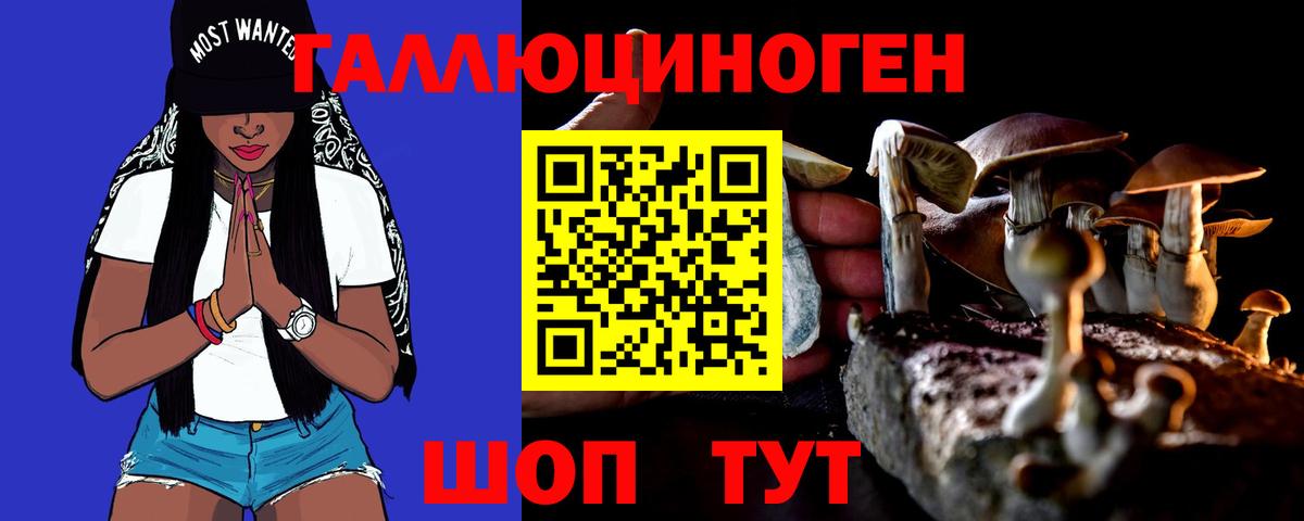 Псилоцибиновые грибы Psilocybine cubensis  Вход с VPN  Зеленокумск 